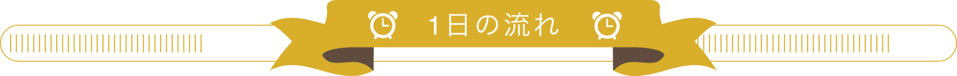 １日の流れ