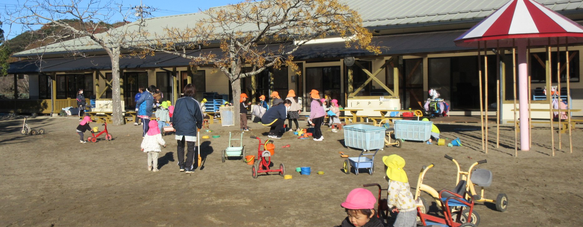 子供達の写真